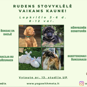 RUDENS STOVYKLĖLĖ VAIKAMS KAUNE Lapkričio 3-6 d.